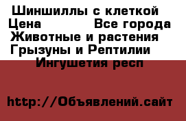 Шиншиллы с клеткой › Цена ­ 8 000 - Все города Животные и растения » Грызуны и Рептилии   . Ингушетия респ.